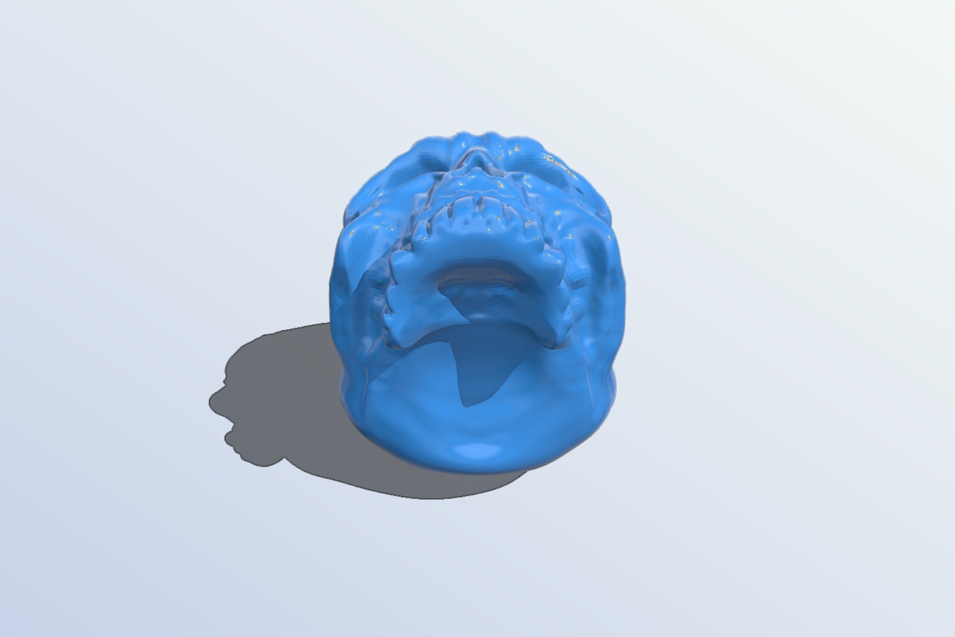 Skull