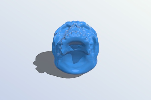 Skull | 3d print model