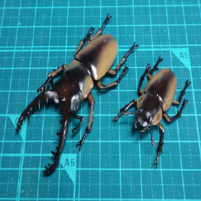 Prospocoilous Savagei | 3d print model