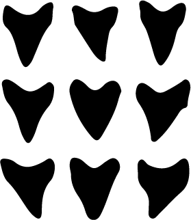 Shark Tooth Guitar Pick