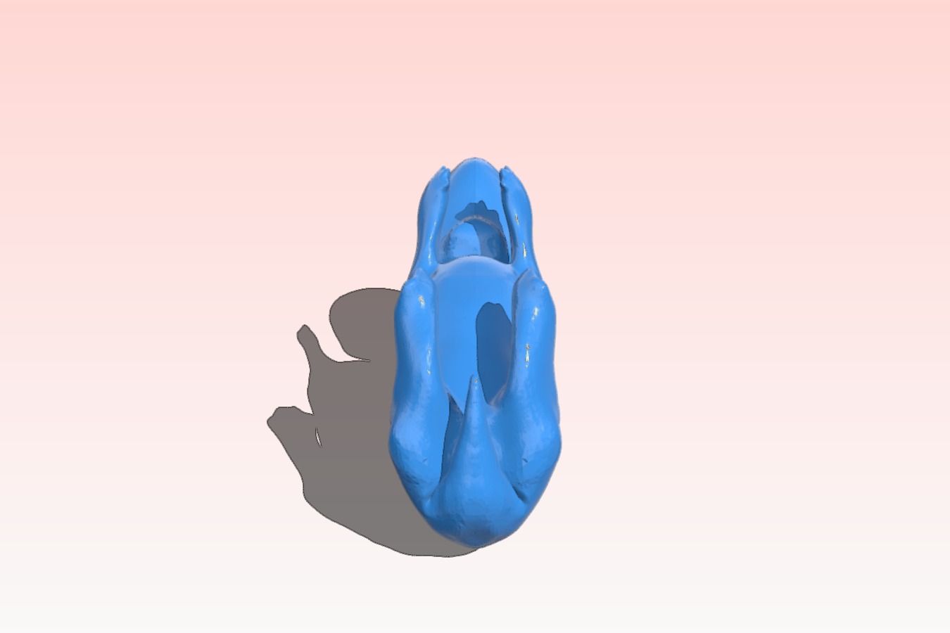 4 Week Dog Embryo