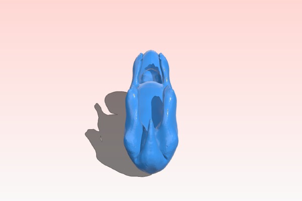4 Week Dog Embryo | 3d print model