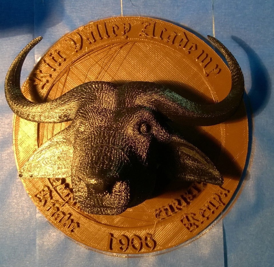 Rift Valley Academy Seal