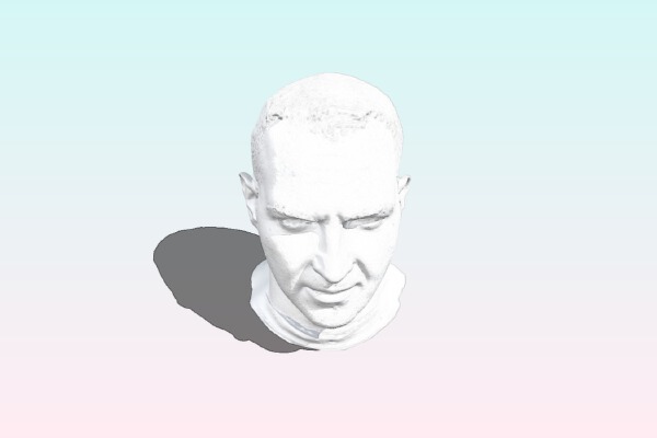 Cory Doctorow's head | 3d print model