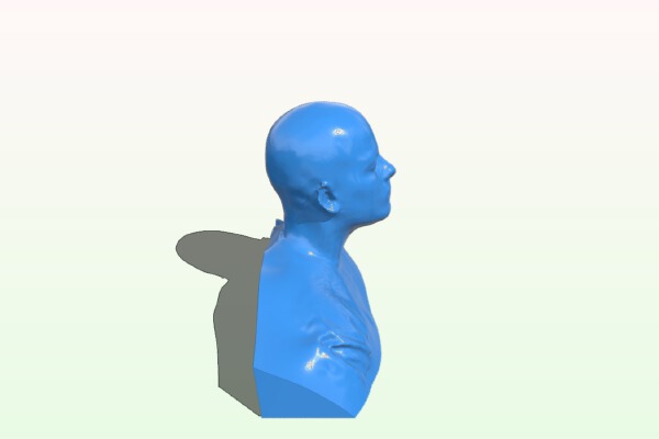 Howard | 3d print model