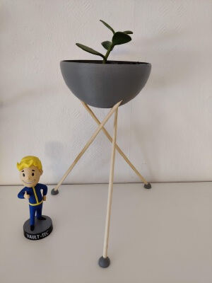 Das Blummentöpfchen | 3d print model