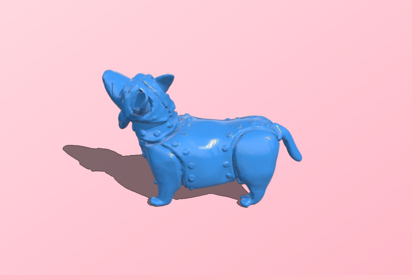Corgi dog