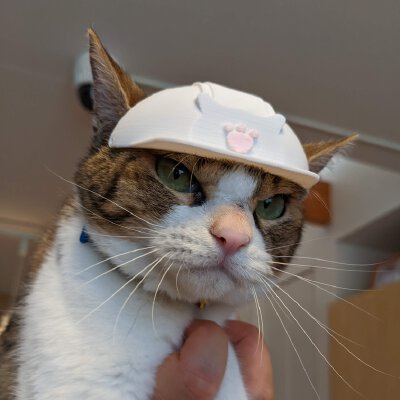 A Hard Hat for Cat | 3d print model