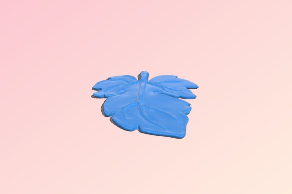 Fig Leaf | 3d print model