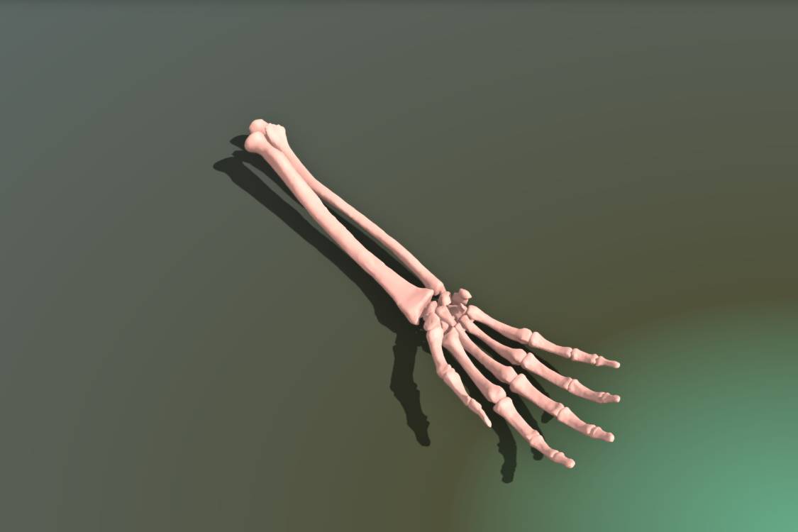 Human Hand skull | 3d print model