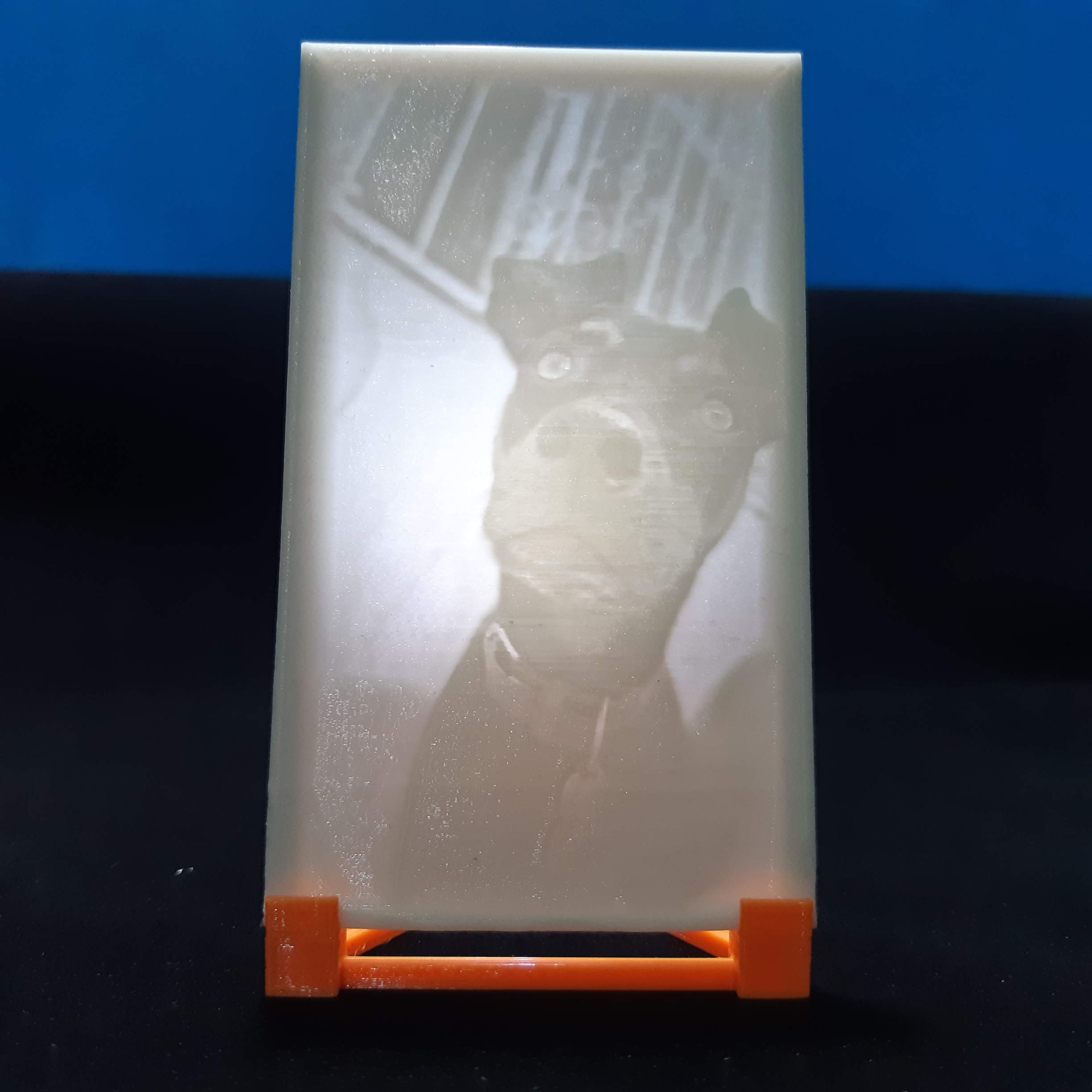 204ec6f0-6bed-4dd3-b43a-cc39a0a631ba