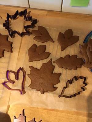 Parametric cookie cutter (with leaf STLs) | 3d print model