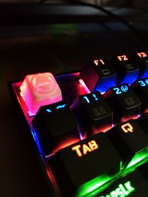 Rotor Riot Esc Key | 3d print model