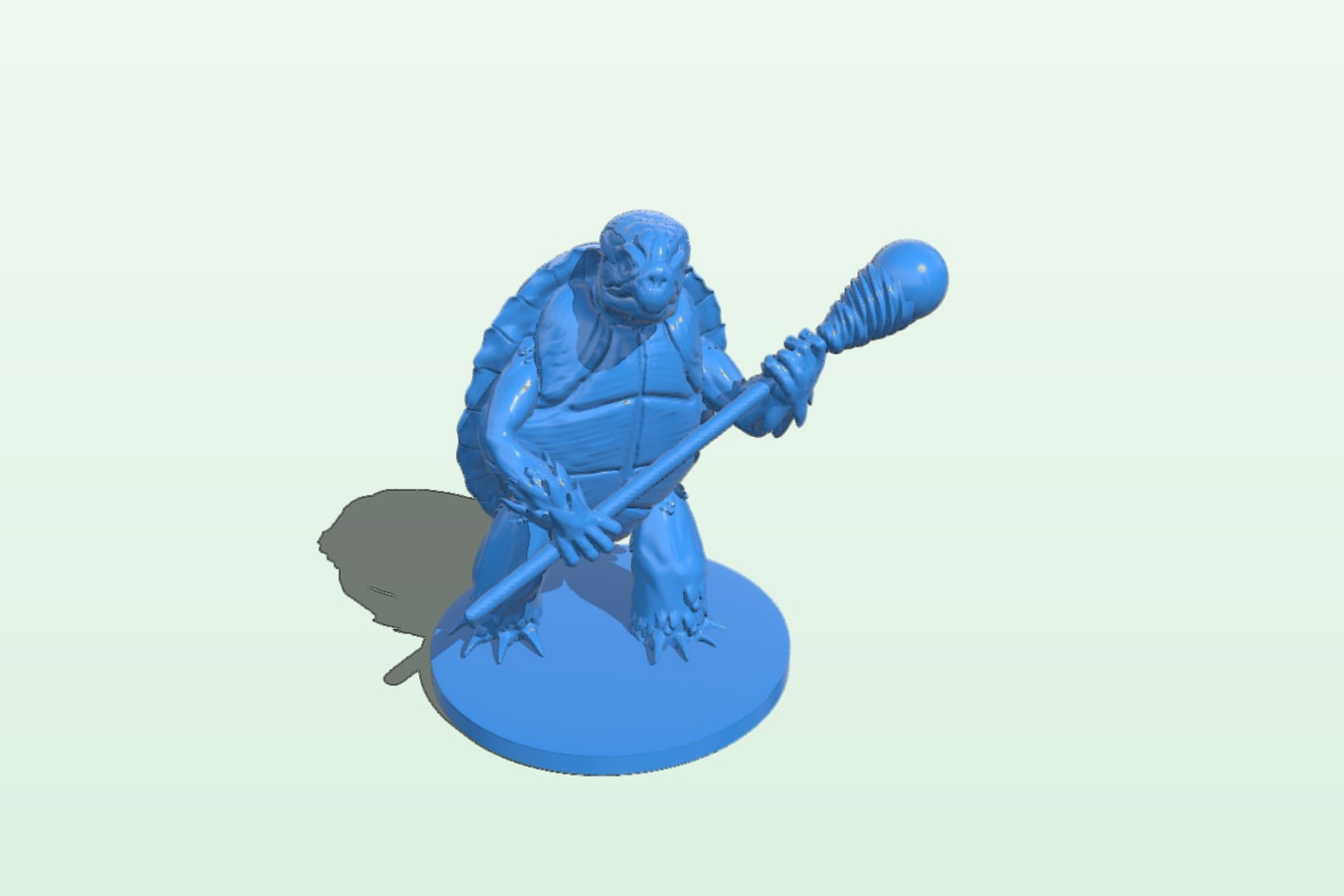 Tortle wizard