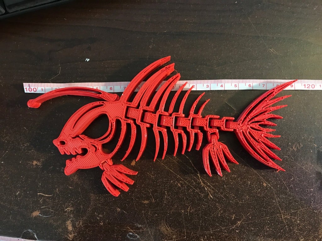 Articulated Piranha_Anglerfish Skeleton