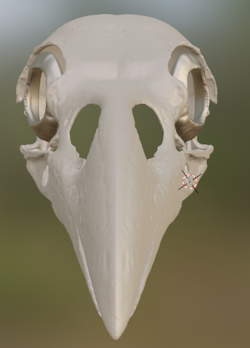 Raven Skull Mask