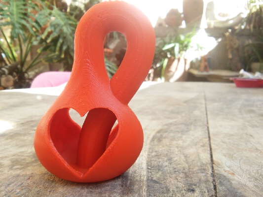 Herat Klein Bottle | 3d print model