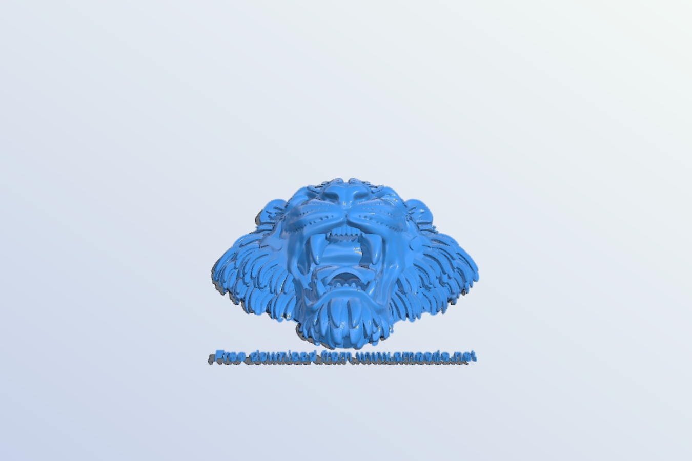 Tiger head
