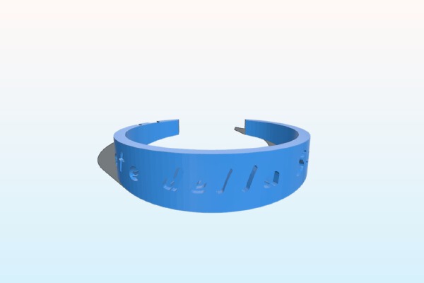 Giornate della Scienza | 3d print model