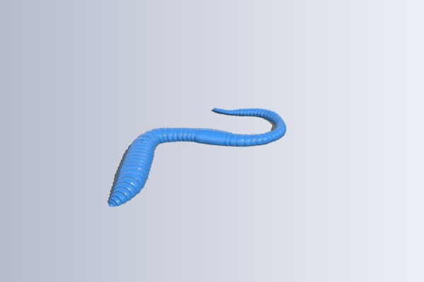 earthworm | 3d print model