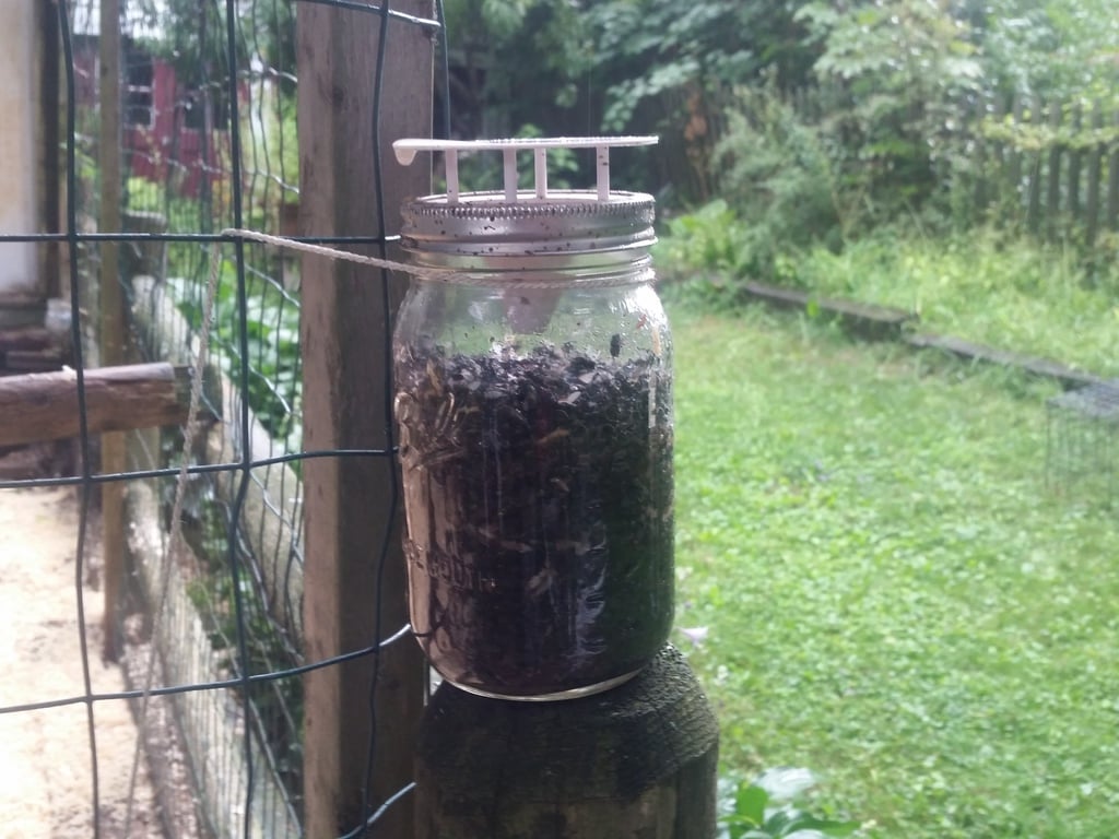 Bottle Fly Trap for Mason Jars