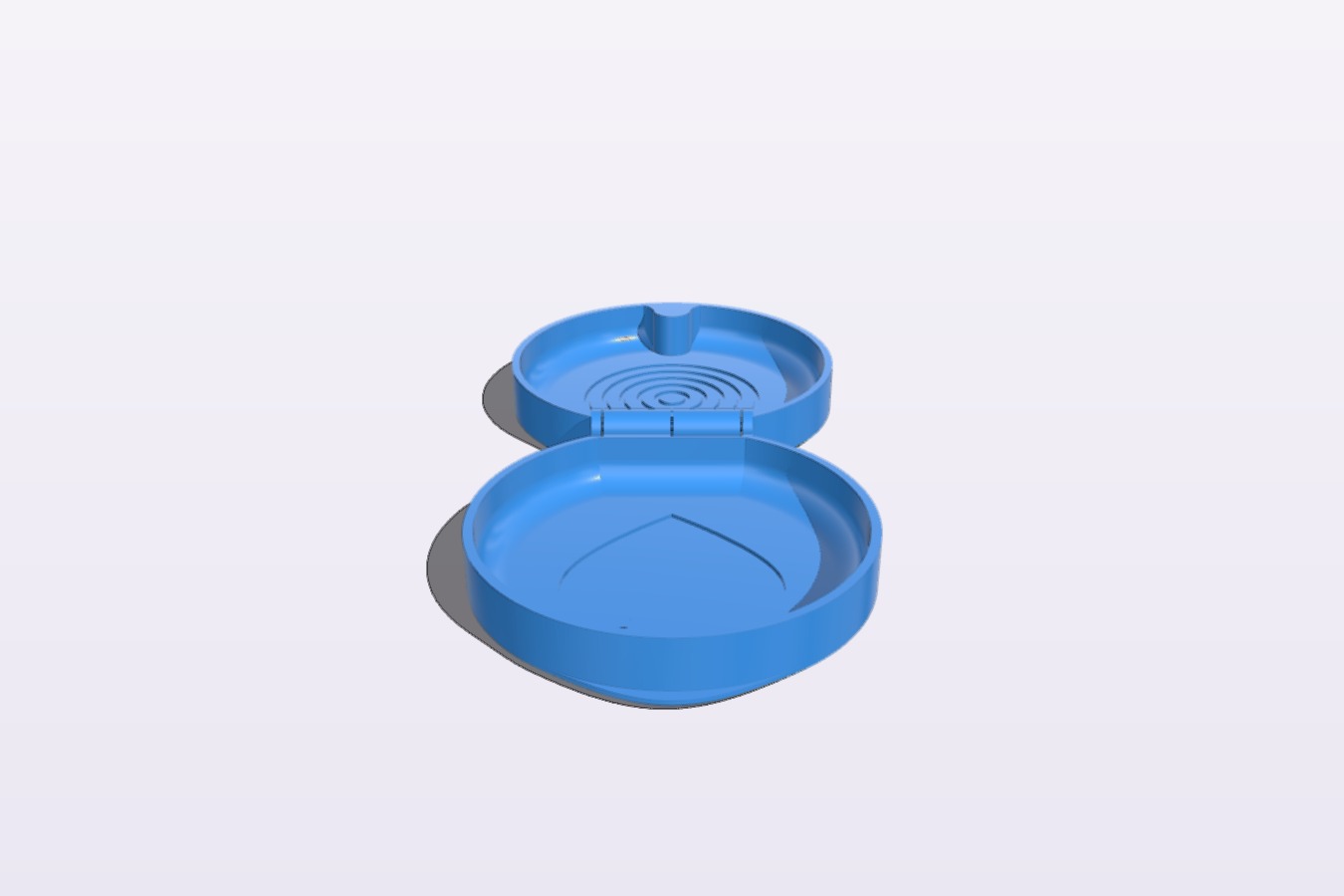 Invisalign or Retainer Case