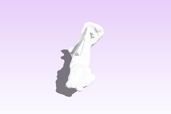 Art Institute of Chicago, Scan No.5 | 3d print model