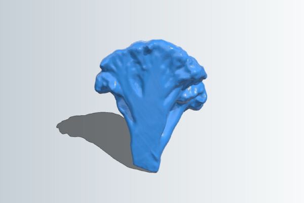 The Broccoli | 3d print model