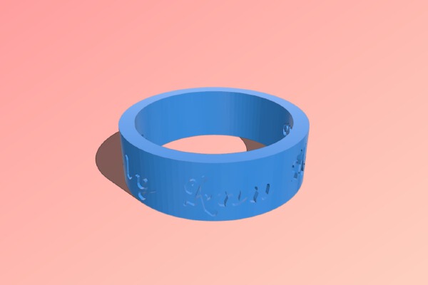 My Customized Ring - inside and out | 3d print model