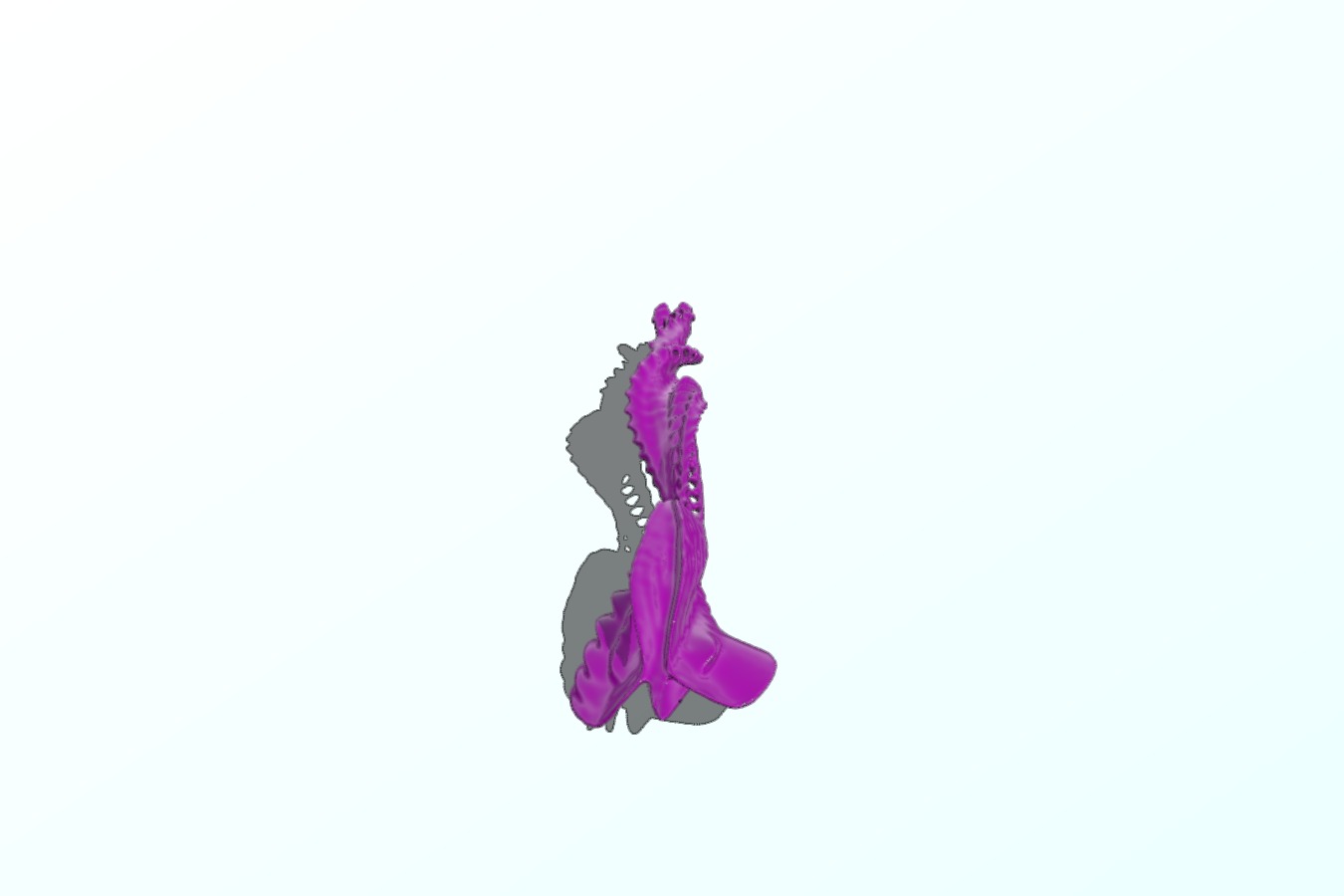 Bones_A2
