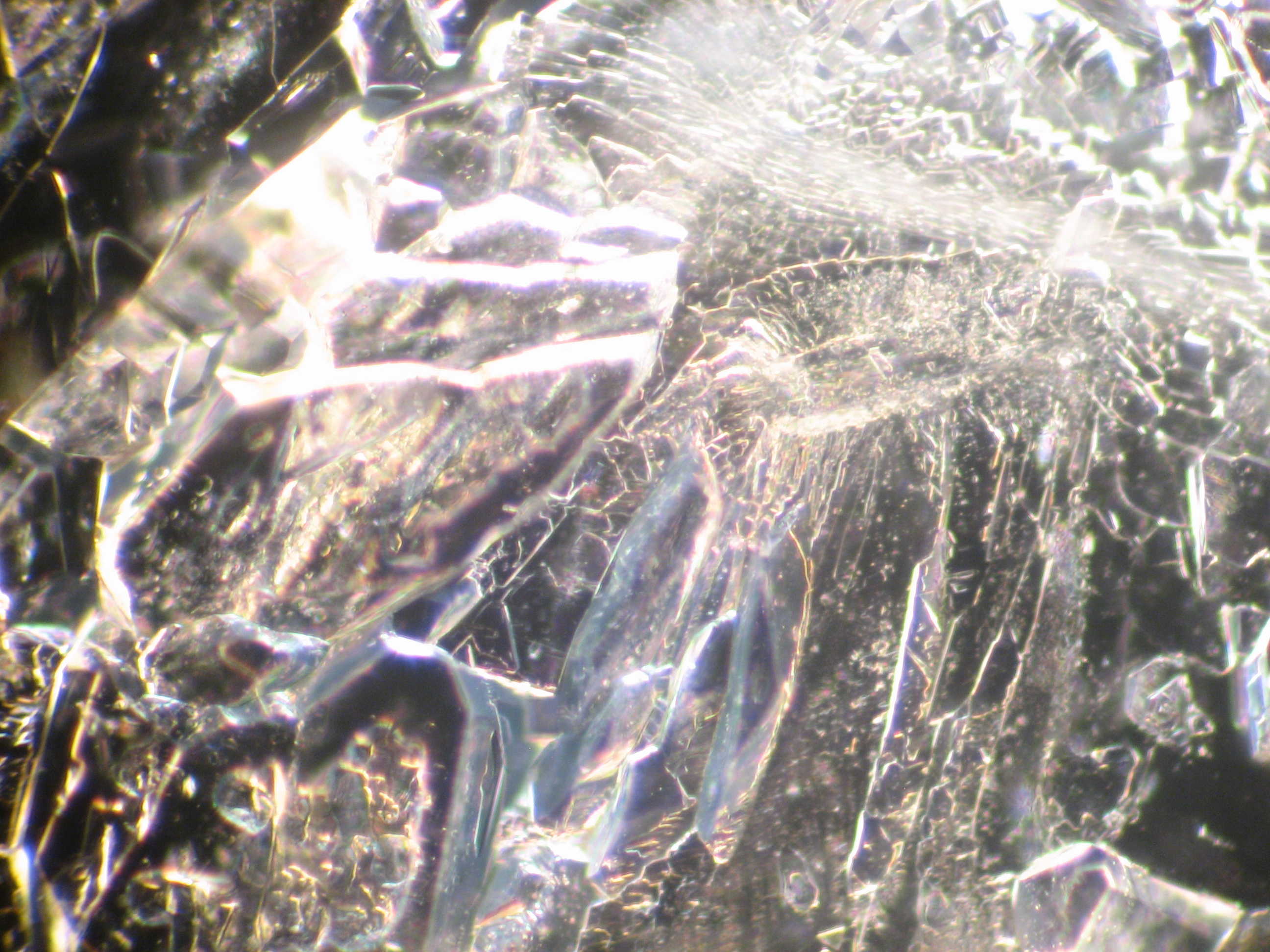 1abfb420-50a3-463e-ad9f-a9c8d2e0da9f