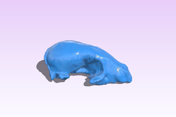 Raccoon Skull | 3d print model