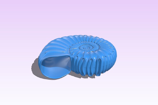 Shell Adhesive Tape Holder | 3d print model