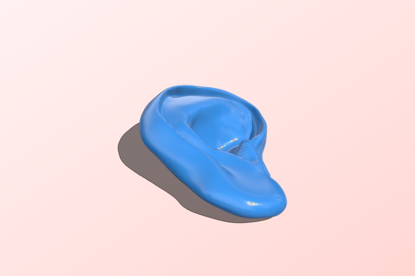 Ear