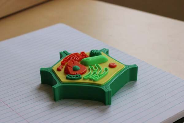 Multi-Color Mini Plant Cell | 3d print model