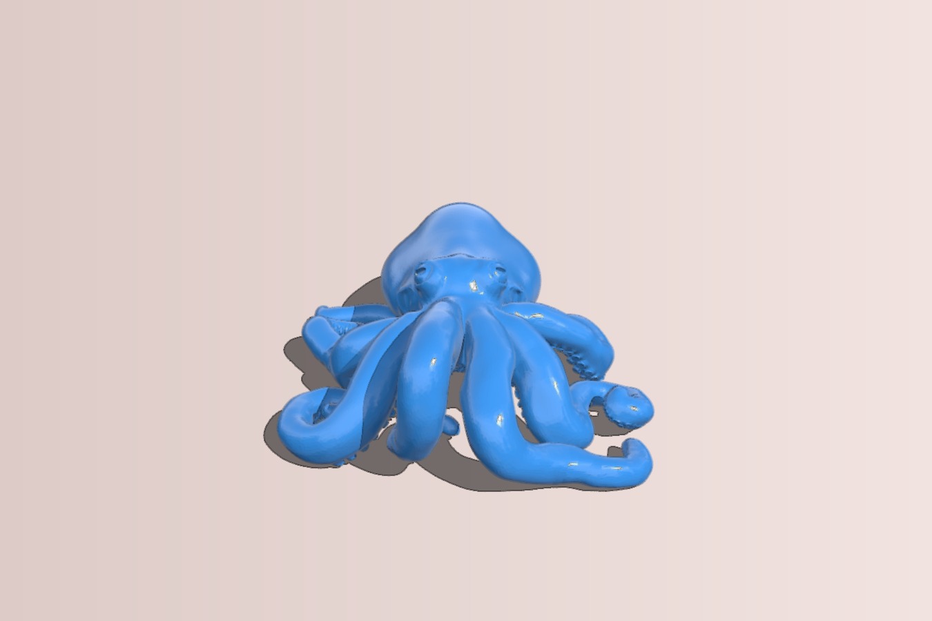 Giant octopus