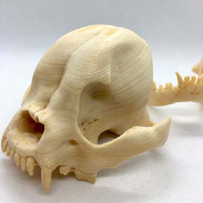 THE FRENCHIE SKULL WITH WOOD PLA | 3d print model