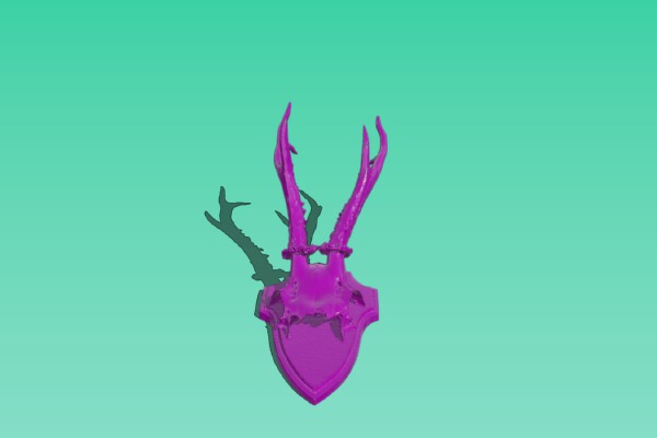 Chamois skull and antler on wood | 3d print model