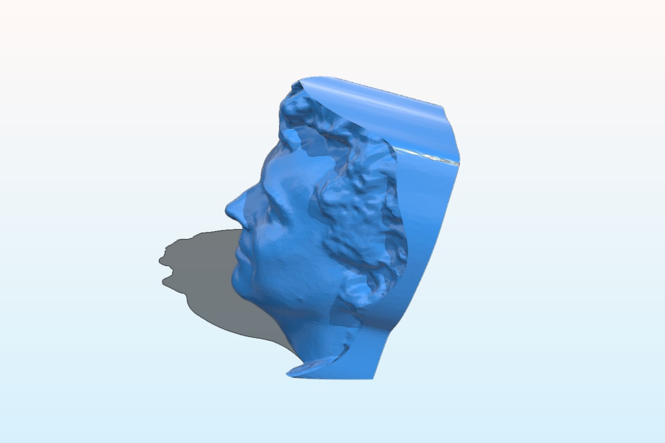 Glenn MakerBot 3D Portrait from Apr 22, 2013