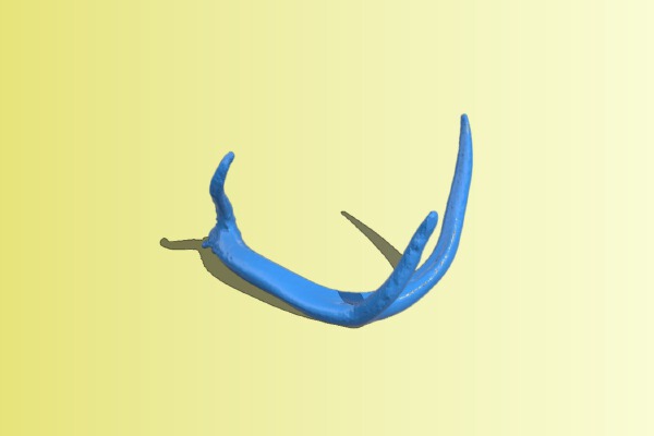 Antler 2 of 2 | 3d print model