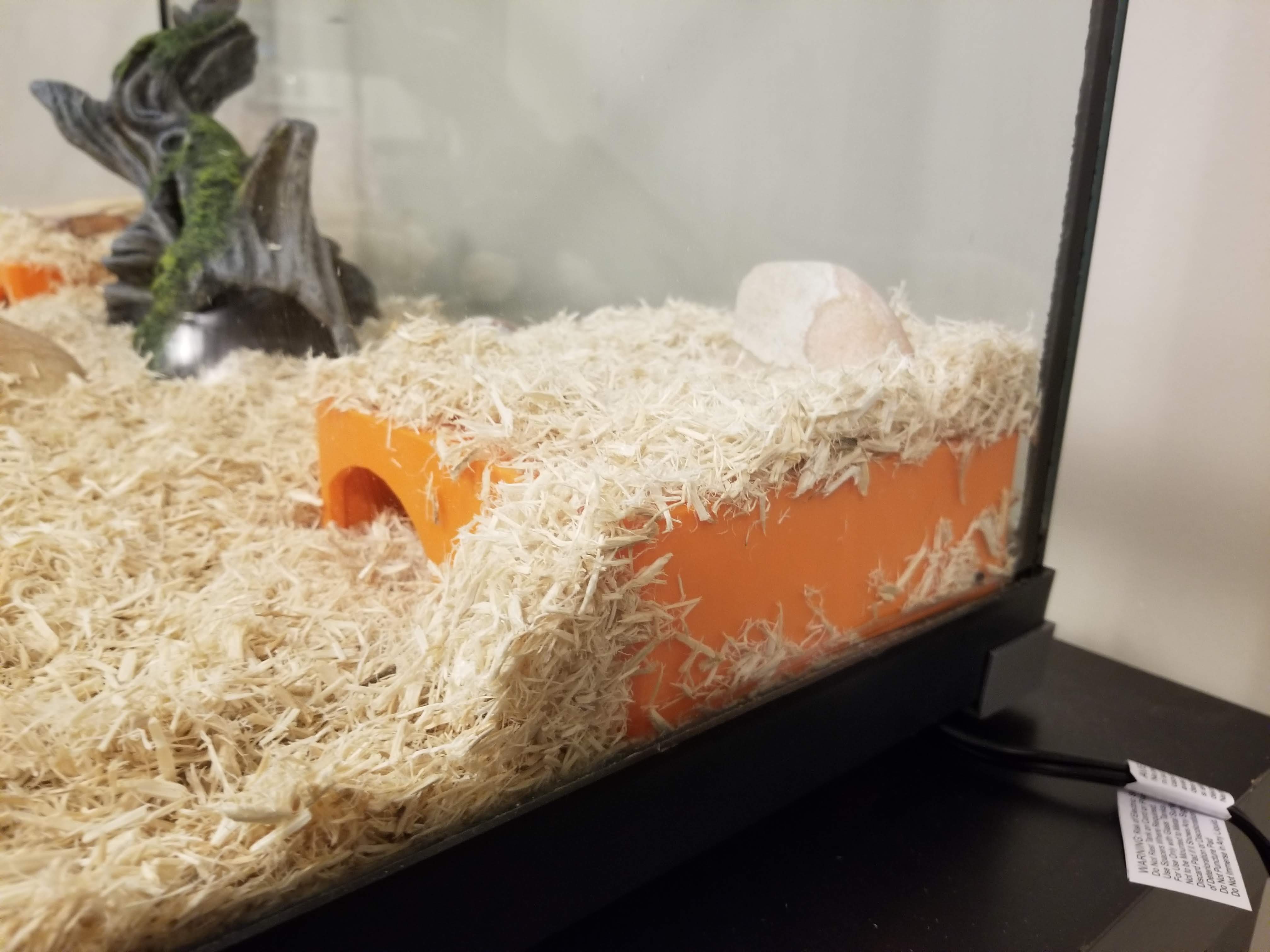 Snake Hide