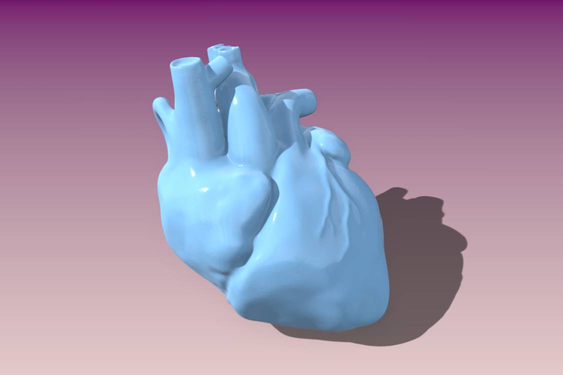 Anatomical Heart Keychain