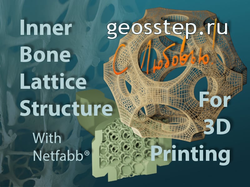 Inner Bone Lattice Structure