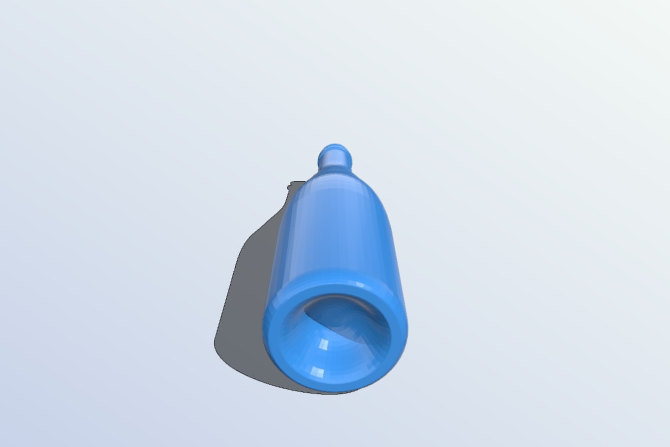 Champagne Bottle