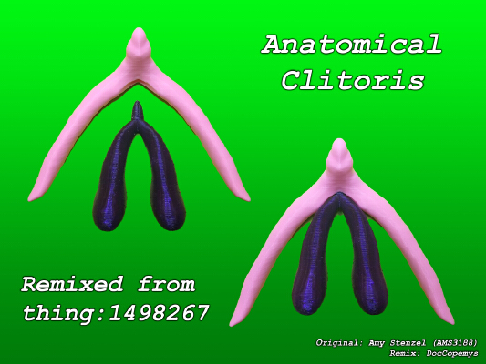 Anatomical Clitoris (Cavernosum and Spongiosum) | 3d print model
