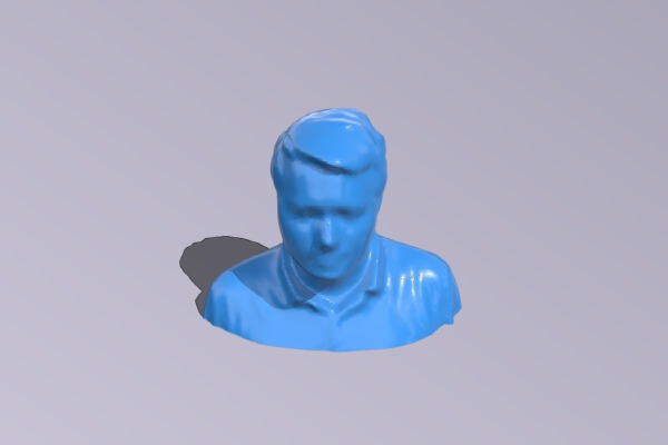 Bust of ViresX | 3d print model