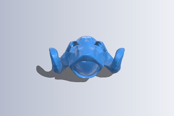 The Ram – Destiny Exotic Wearable Helmet | 3d print model