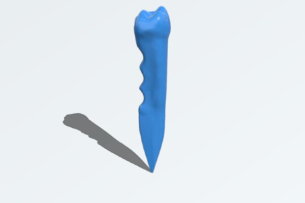 Tooth Handle Letter Opener | 3d print model