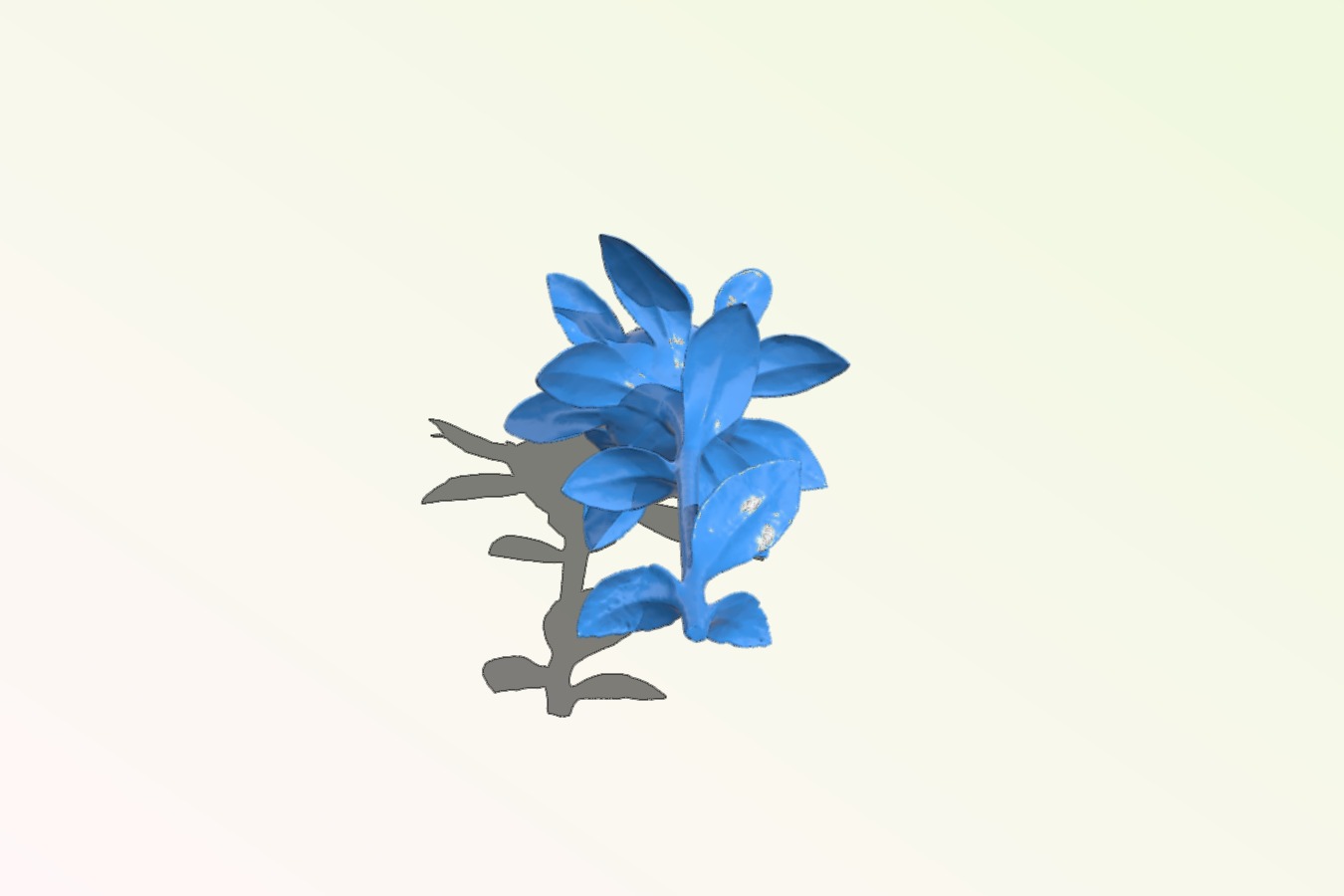 Flower - 3D Scan